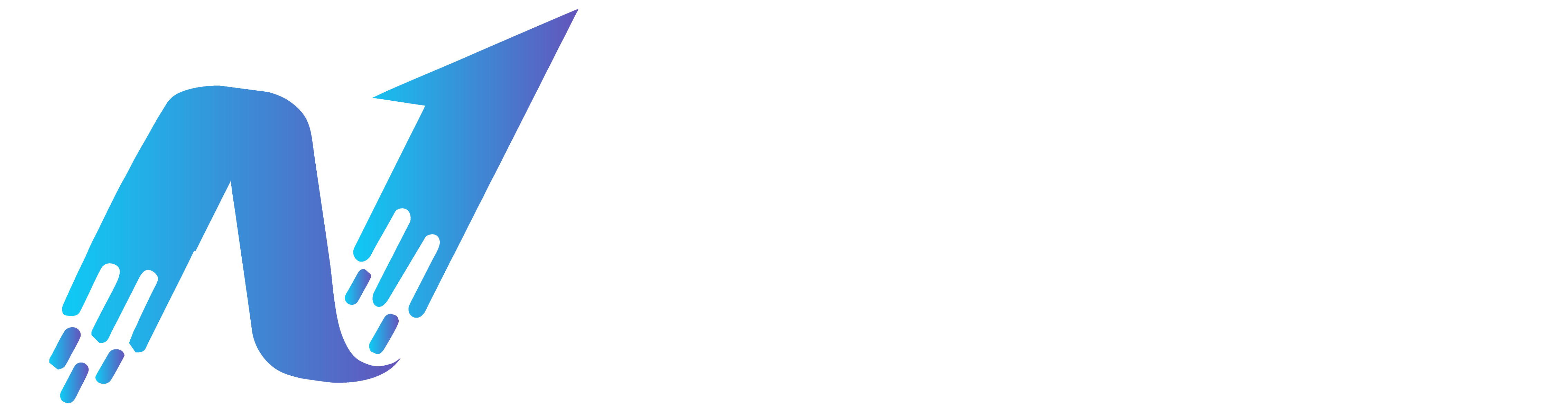 N-Ticaret | Dijital Hizmetler & Matbaa Çözümleri